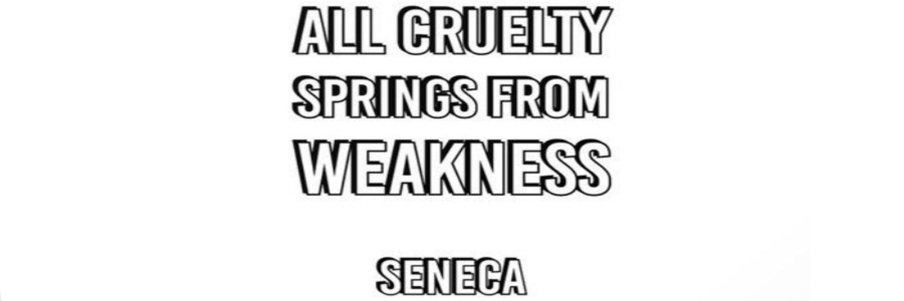 Cruelty Free