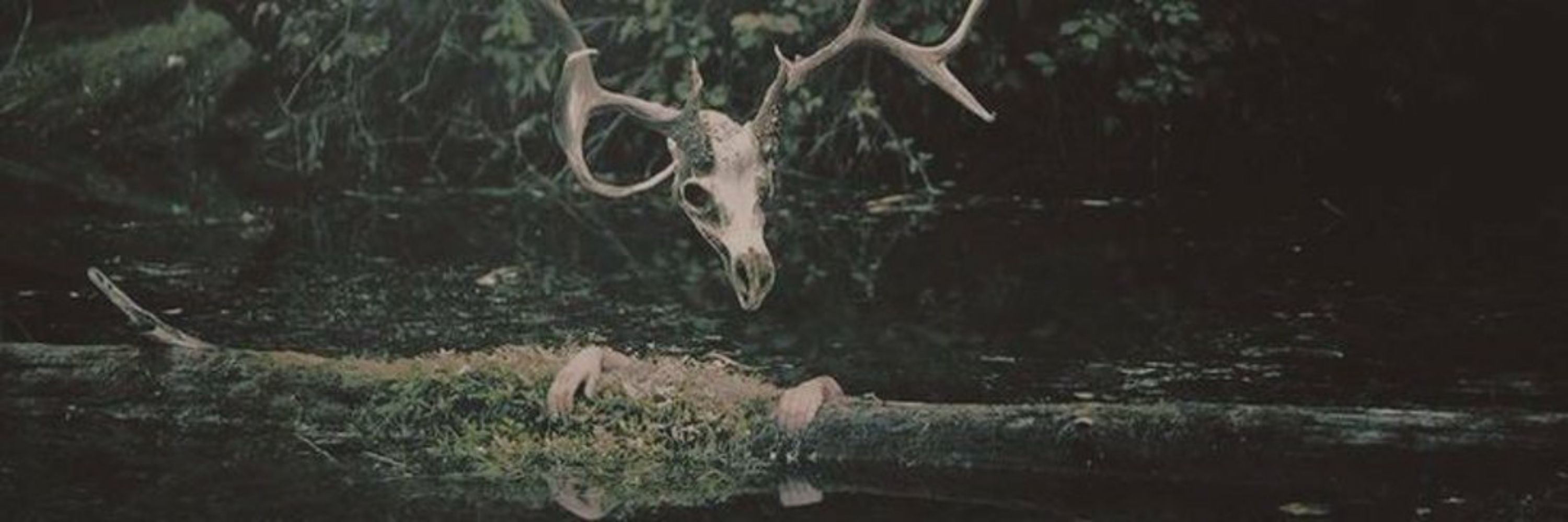 ୨⎯  Chero