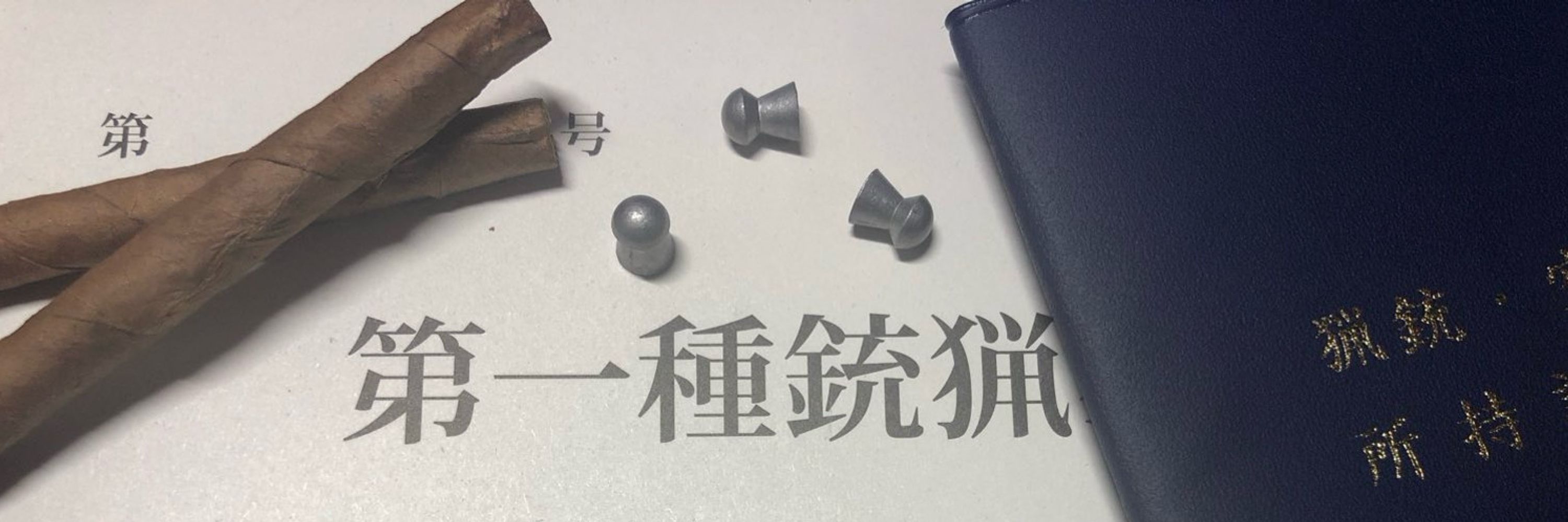 みるどっとP