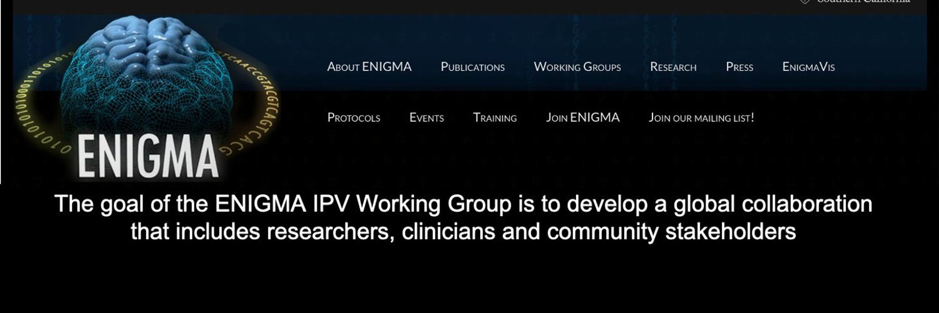 ENIGMA IPV Working Group