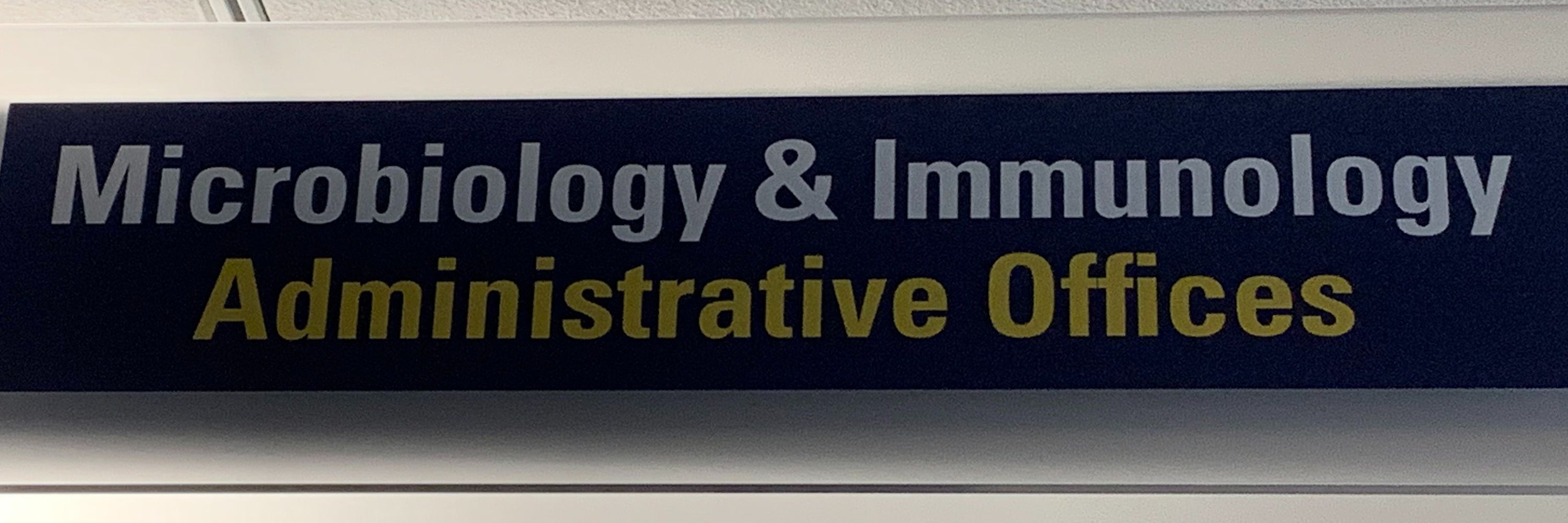 U. Mich Micro-Immuno Dept
