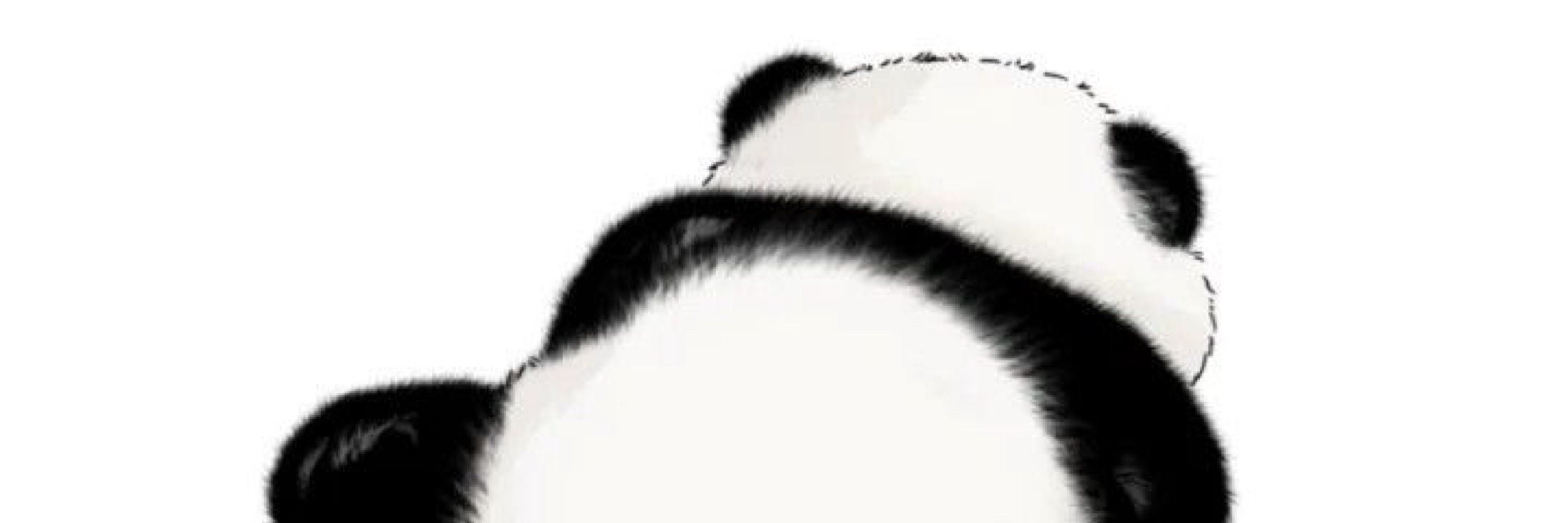 パンちゃん🐼
