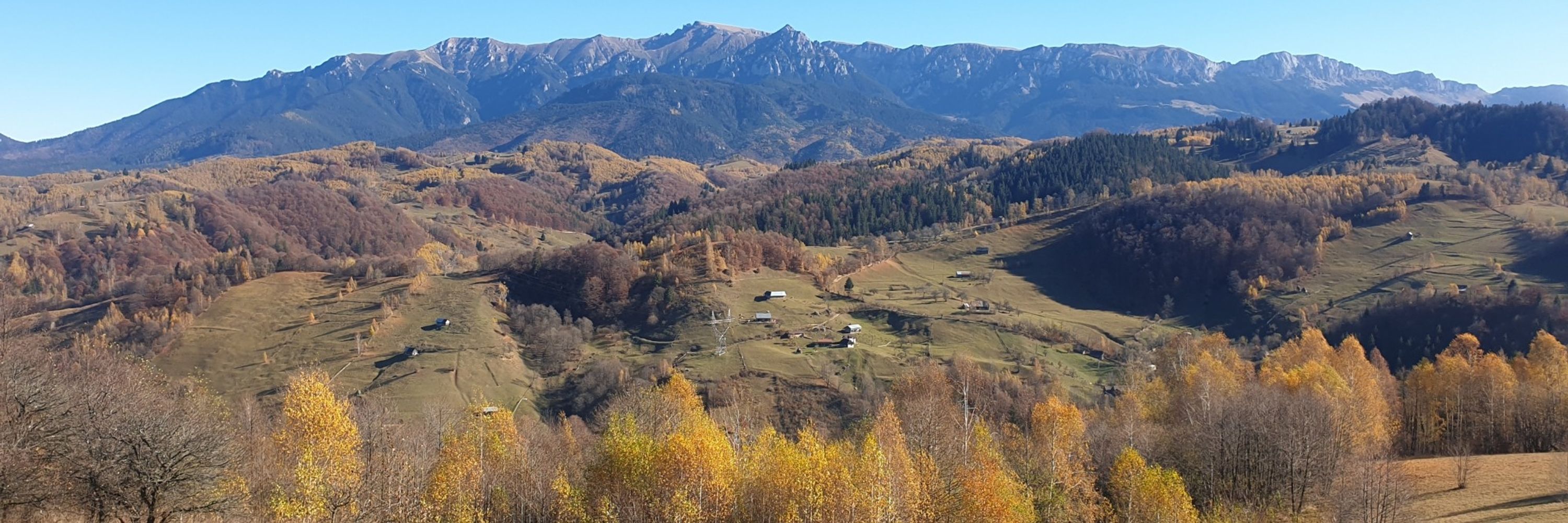 Albăstrel
