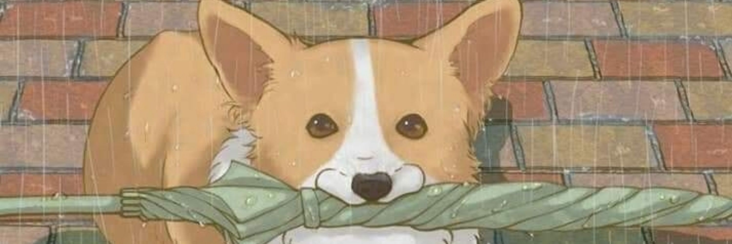Ty