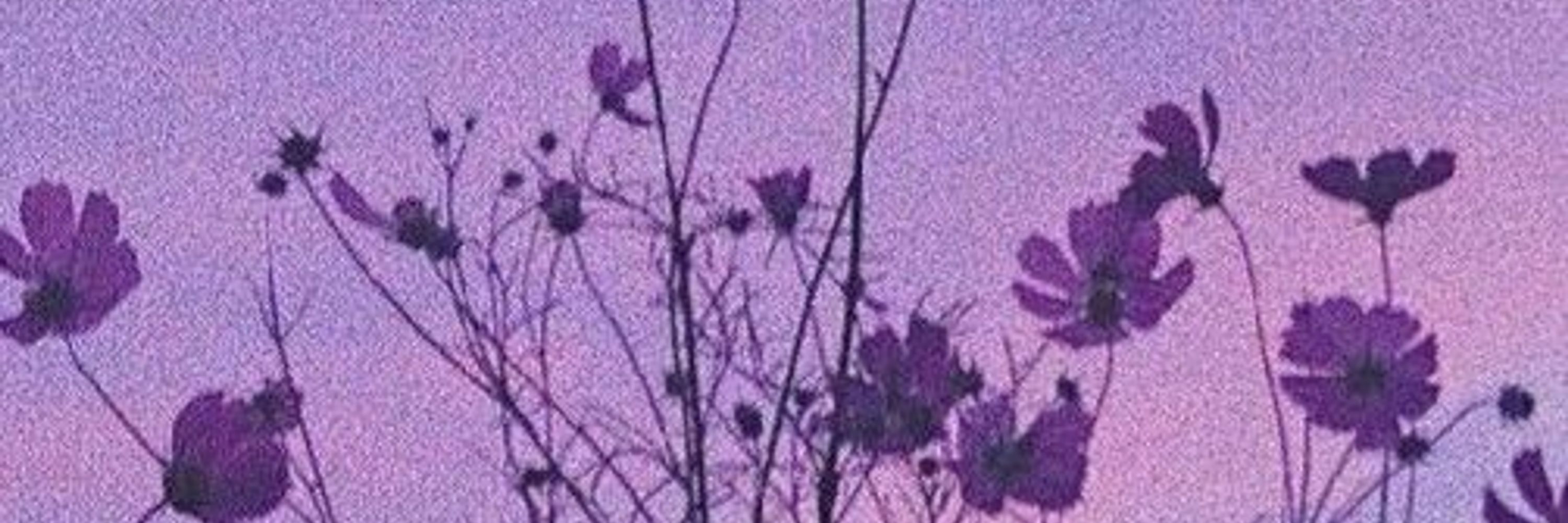 🦋 InkLight :):