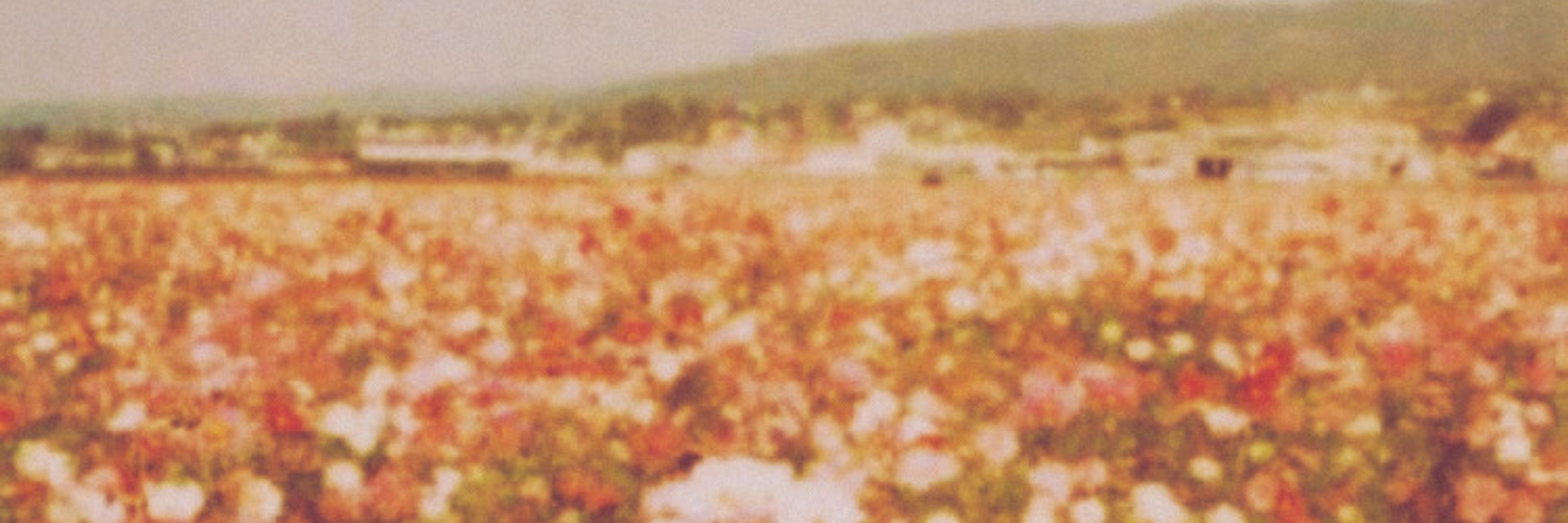 tessa 💐📼