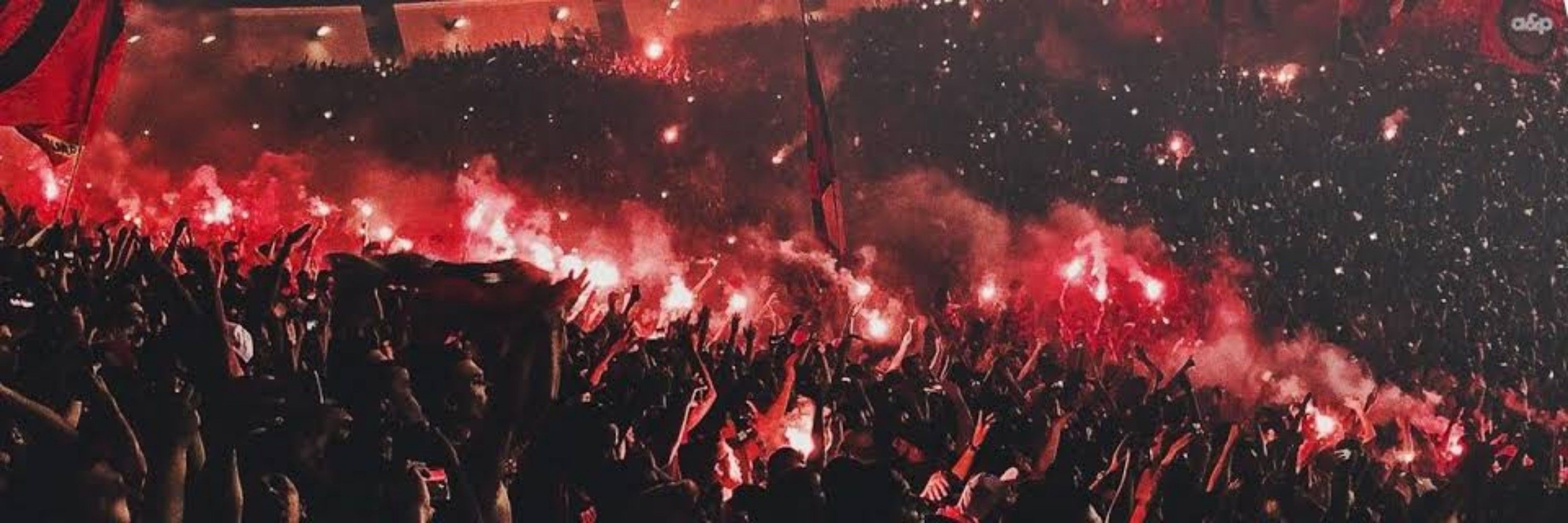  𝔸𝕟𝕕𝕣𝕖 𝕮𝖗𝖋  🇦🇱