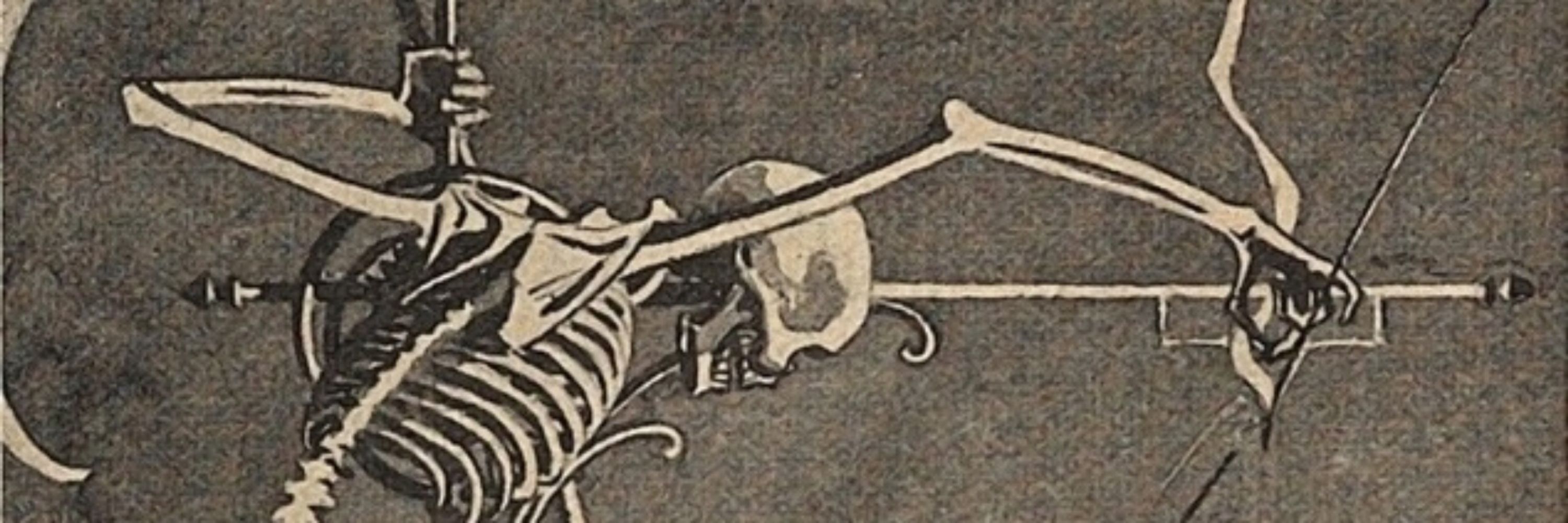 Bones
