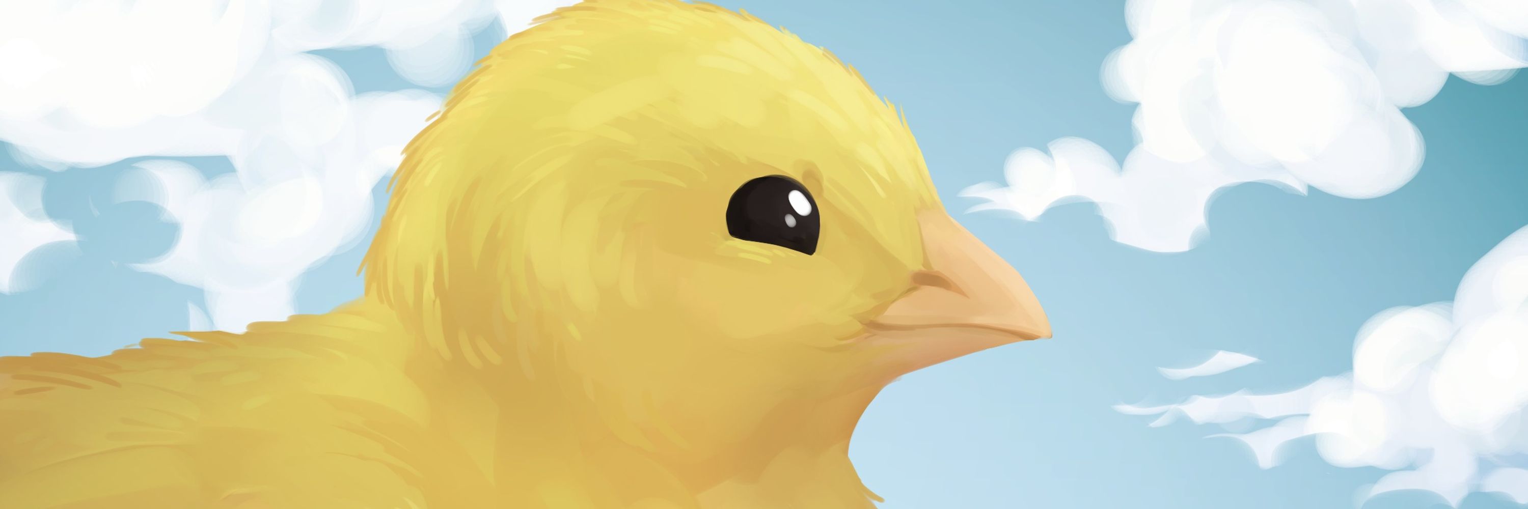 Chikin