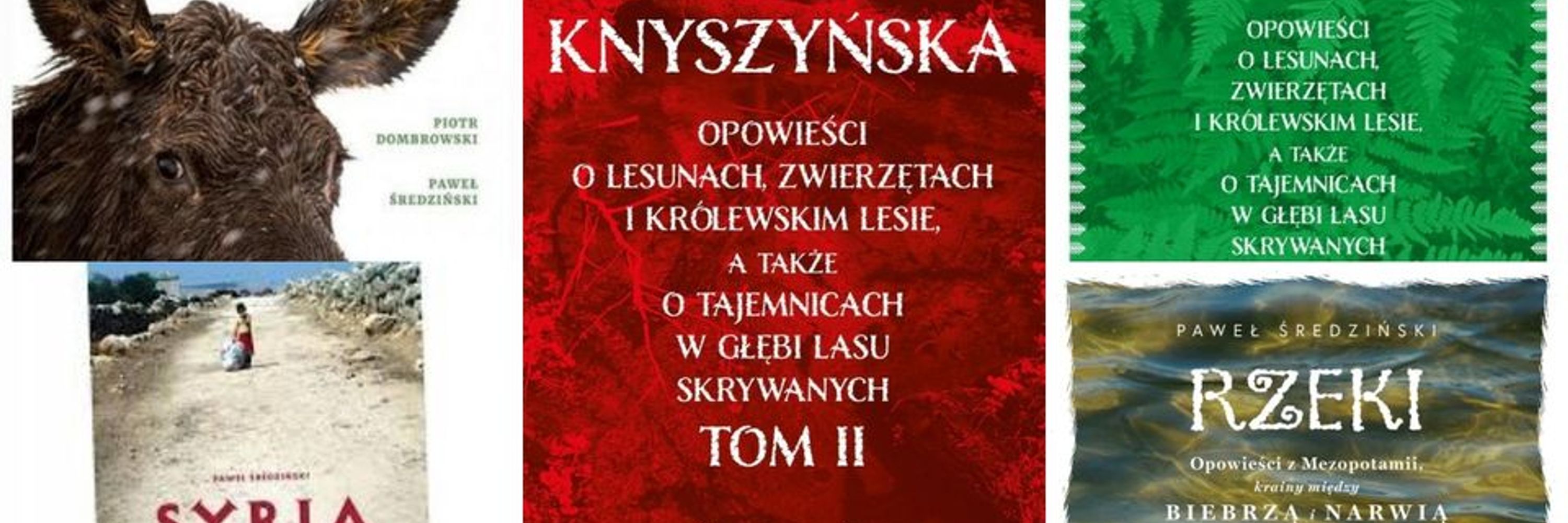 Paweł Średziński - Bliski mi świat