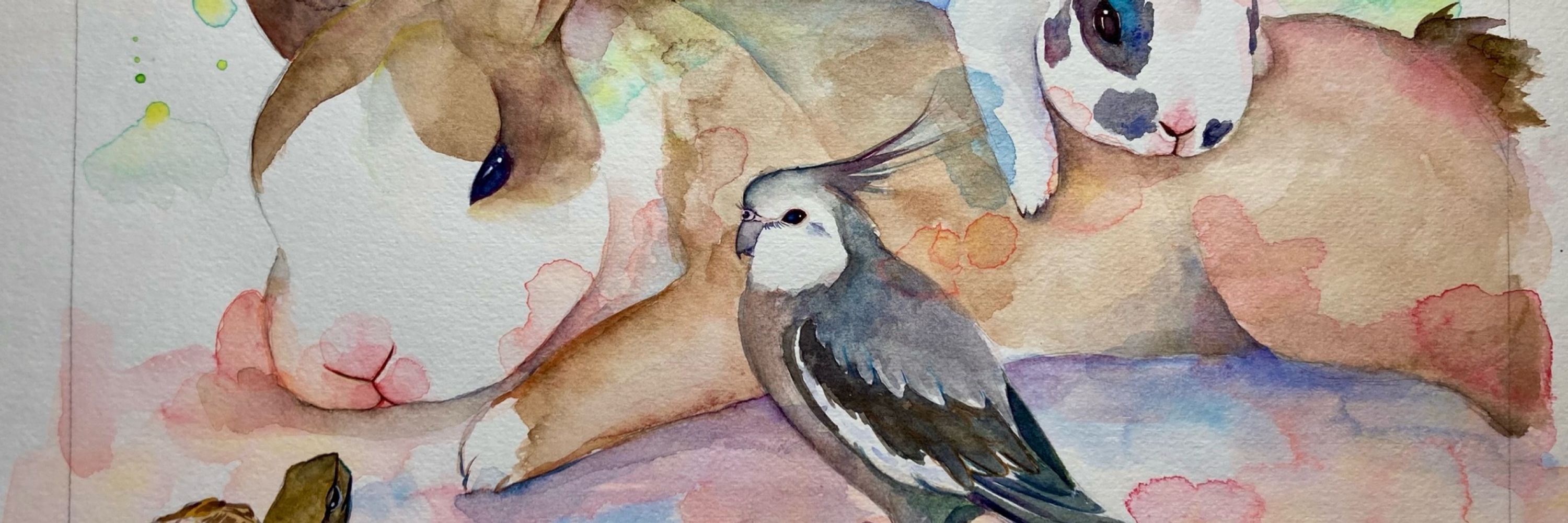 Birdrop(三木梨恵)