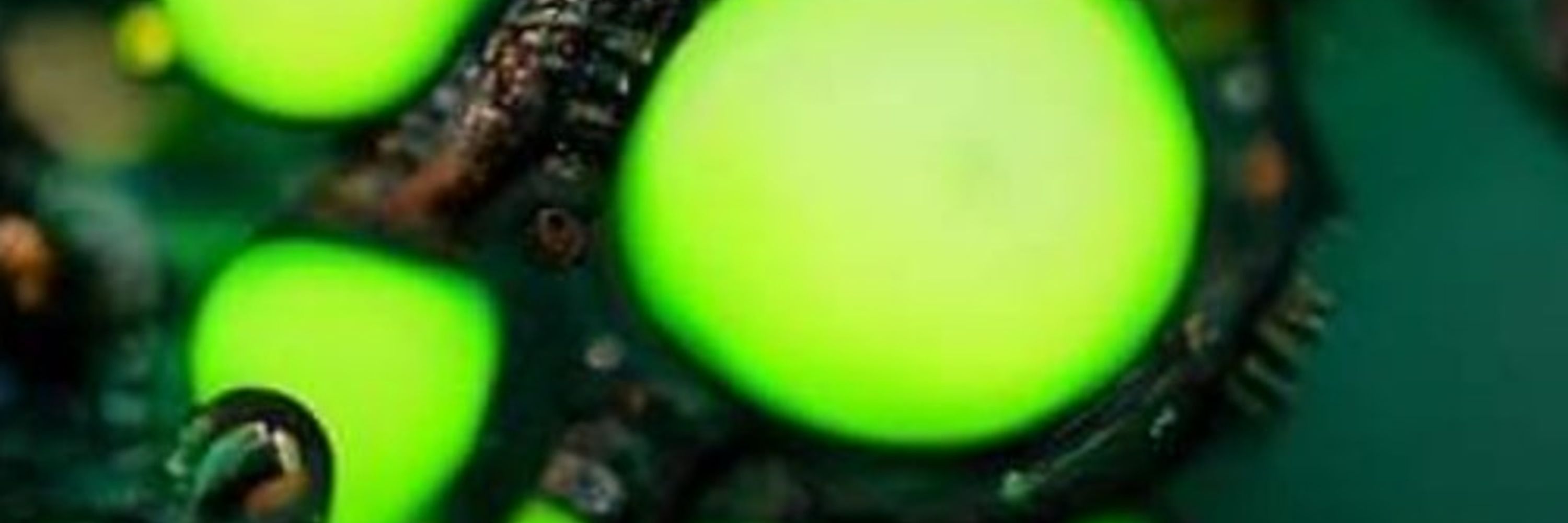 ɢᴇɴᴇʀɪᴄ ᴘʀᴏᴛᴏᴛʏᴘᴇ 📯💚🏳️‍🌈
