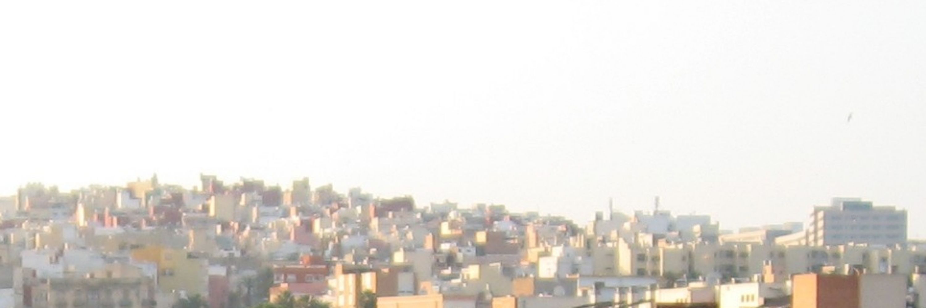 🇵🇸 A.S. ۞