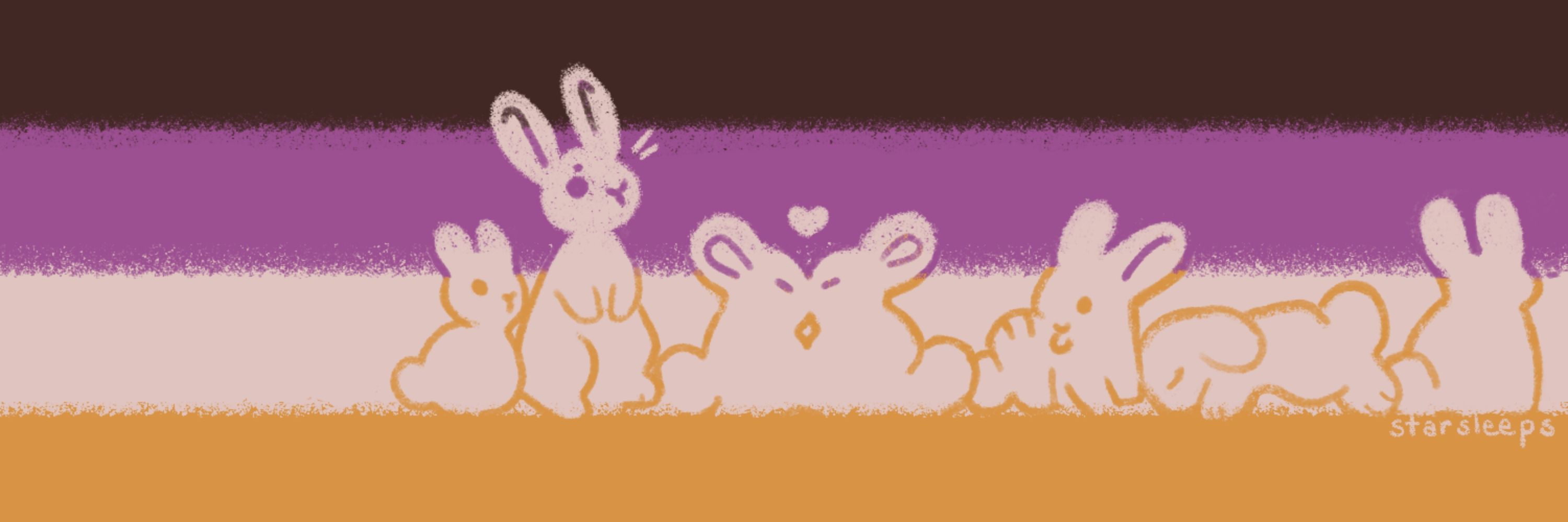 Dune 🐰