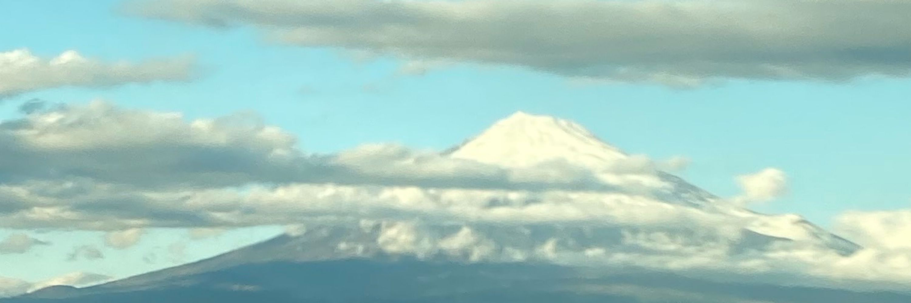 玉雛