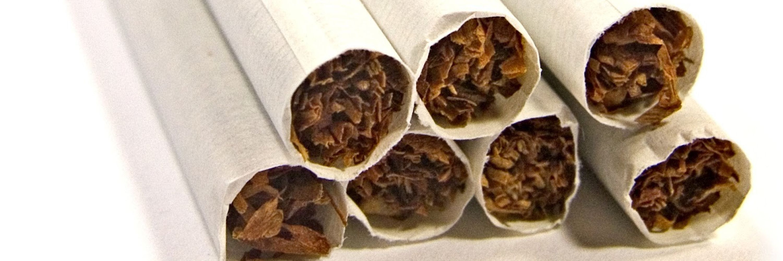 Cingaro