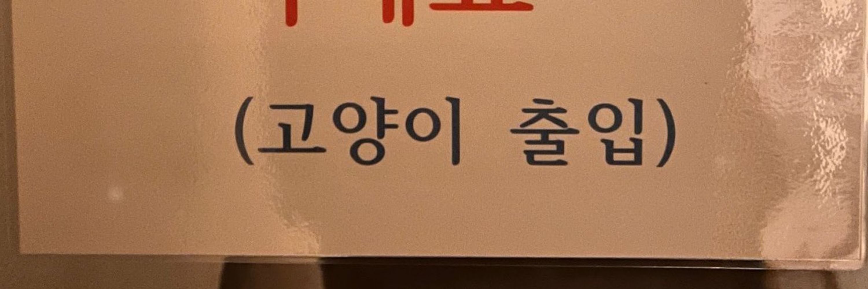 봉순이