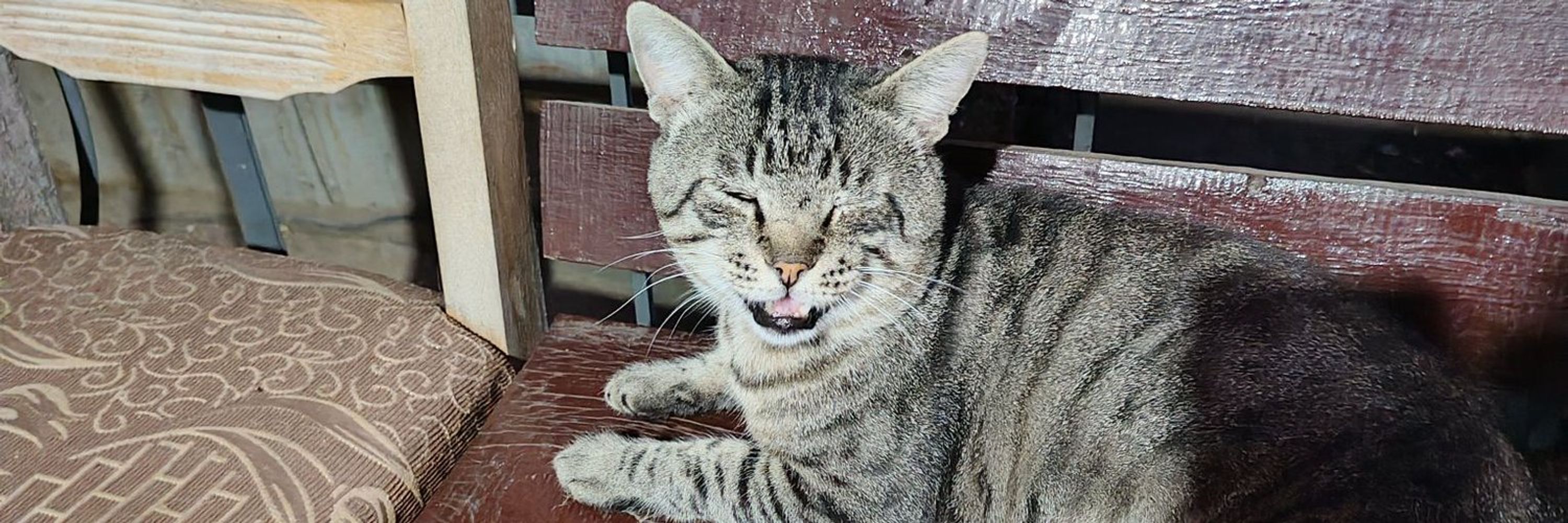 Alexander