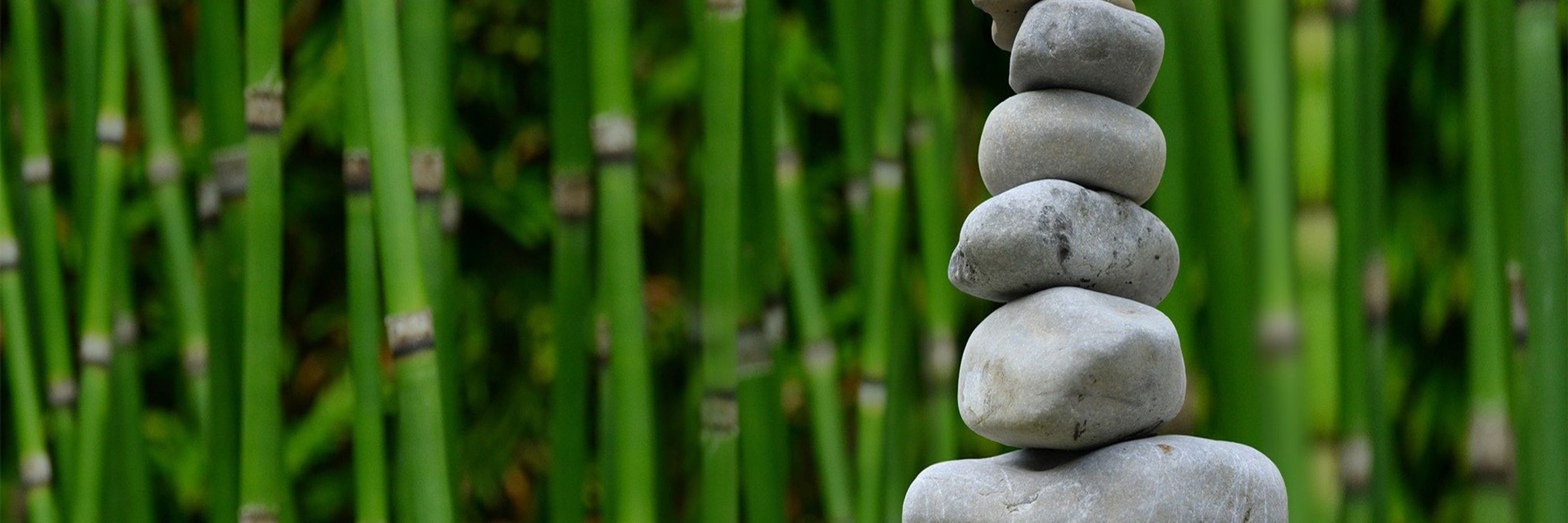 3 Hour Meditation