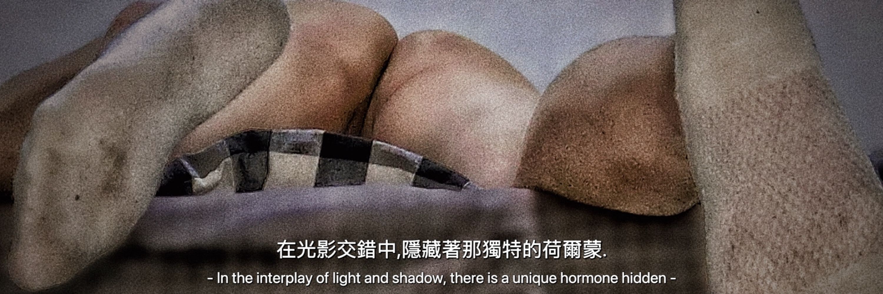 你不配i（互推 互关私）