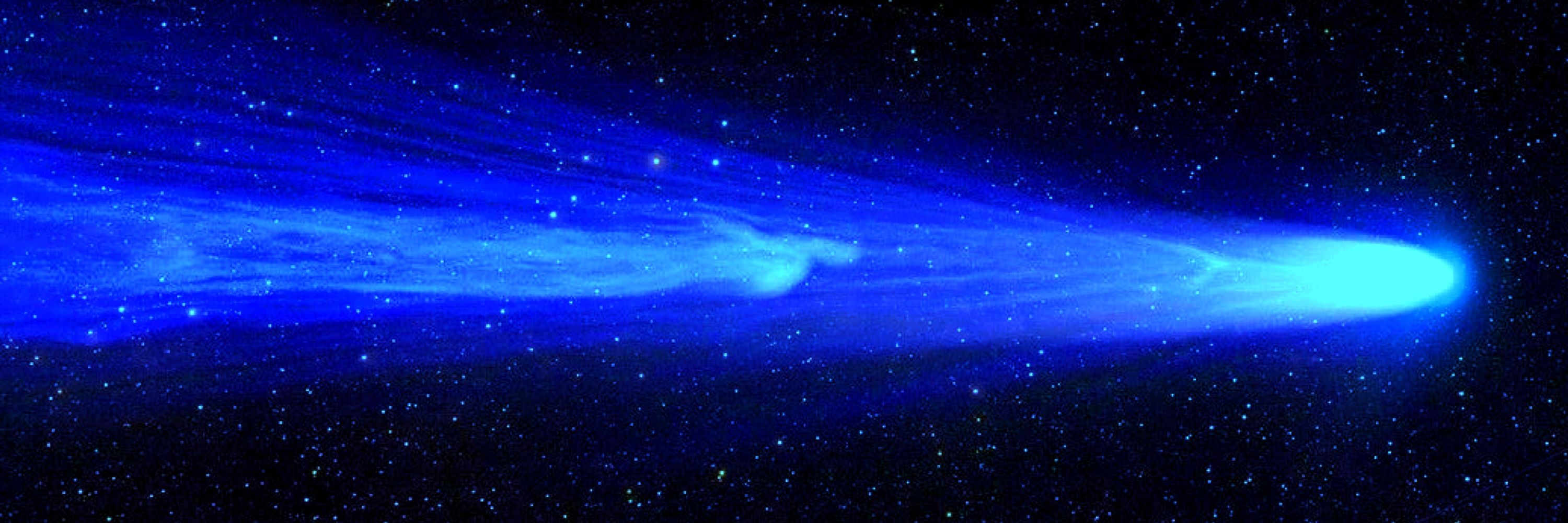 Aster