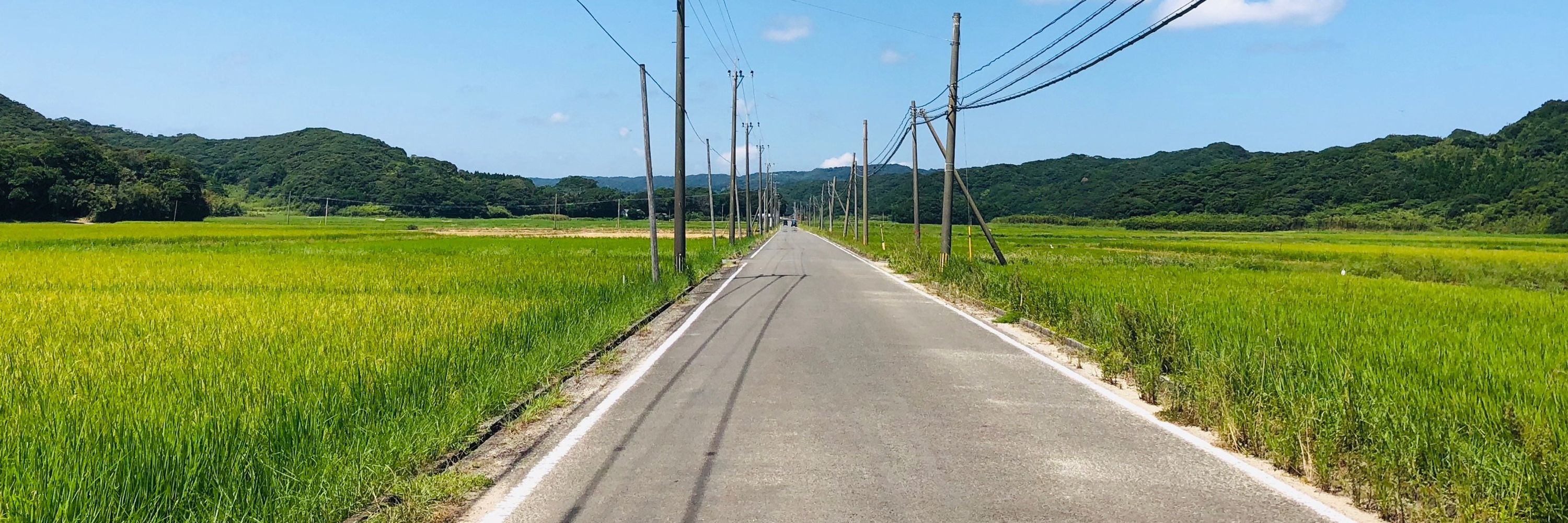 早海ナギ