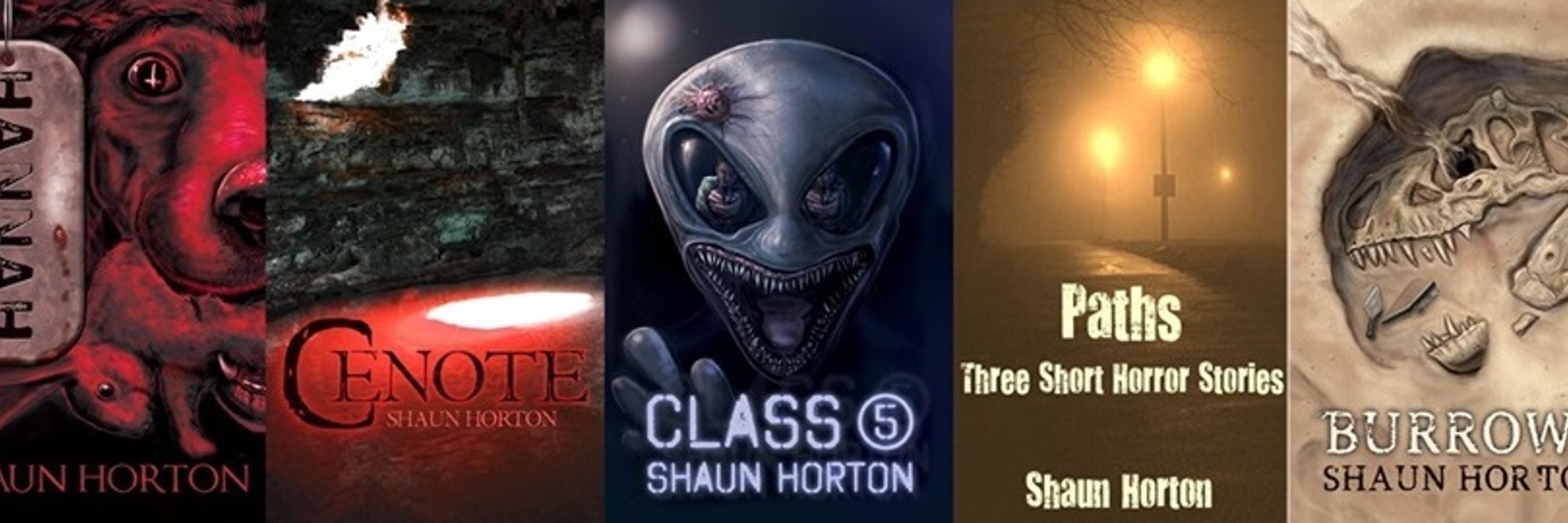 Shaun Horton