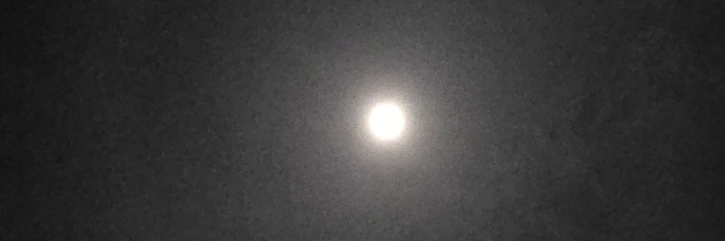 초영