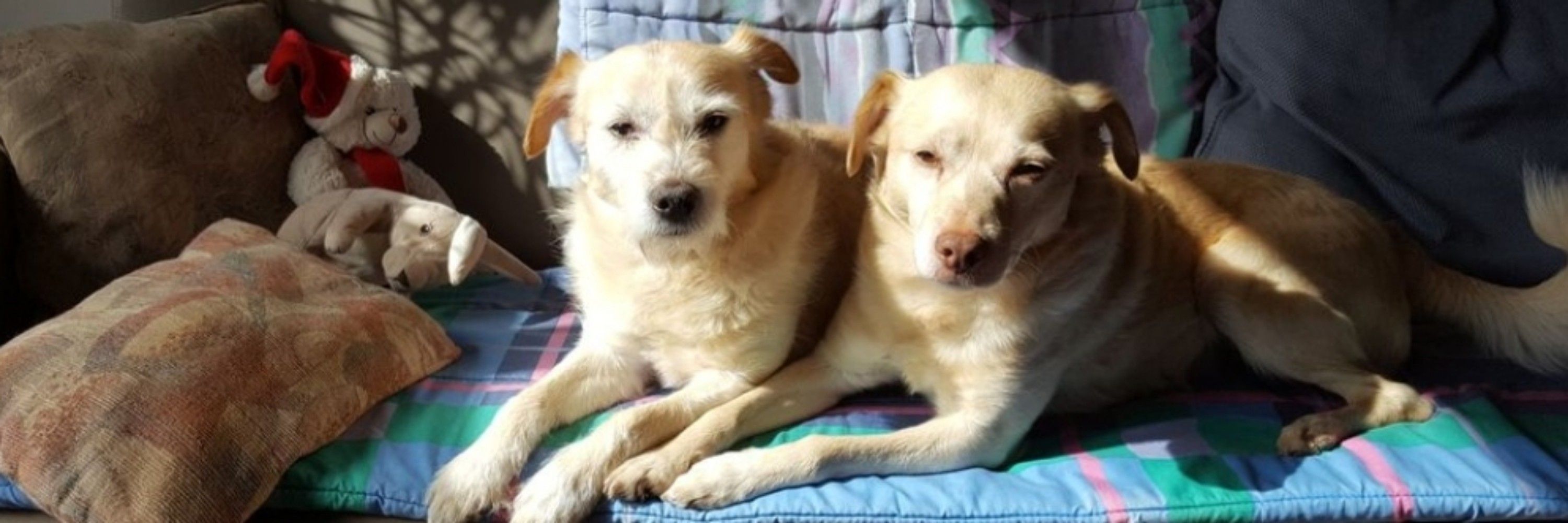 Bas And Bobbie