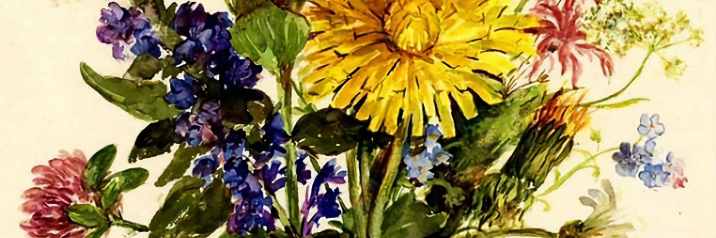 Sveina