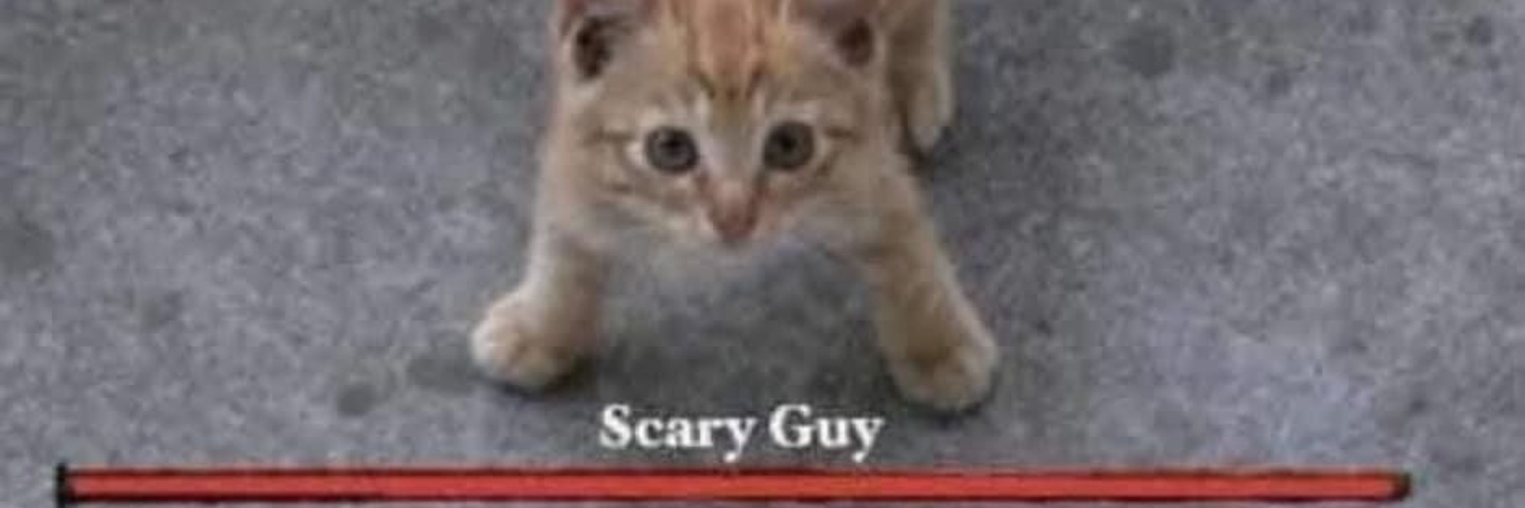 Wasabi Cat