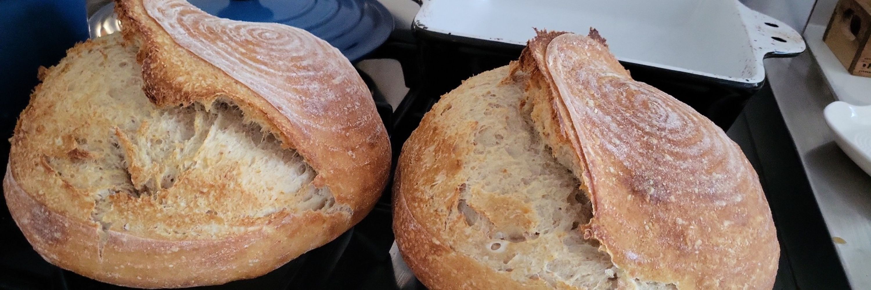 Sourdough Ninjas