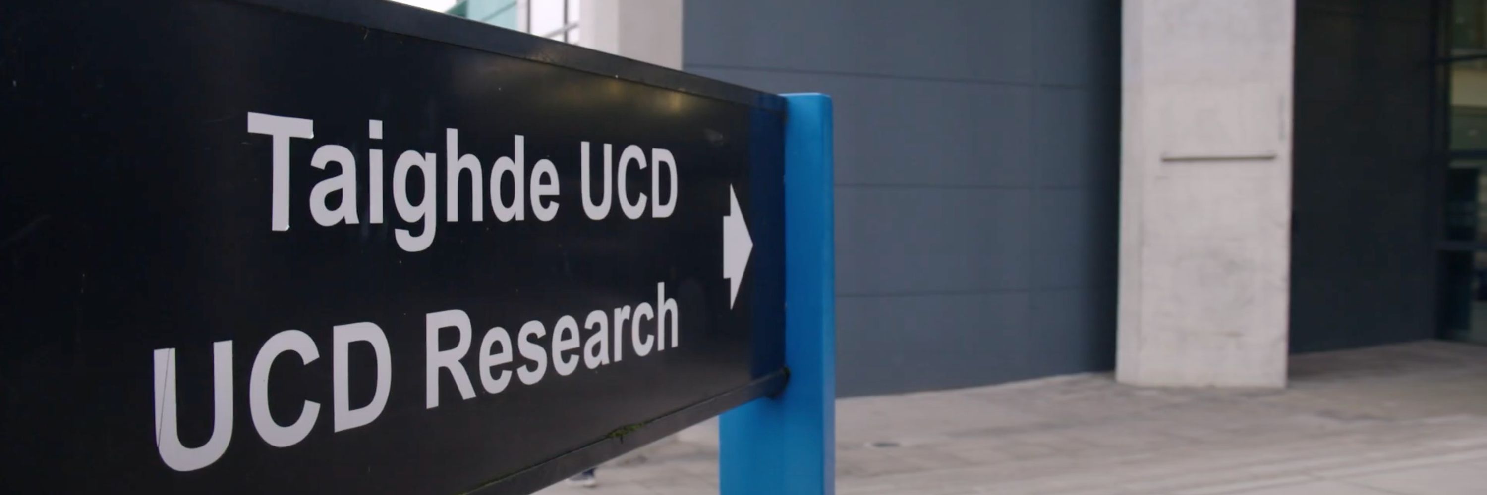 UCD Research