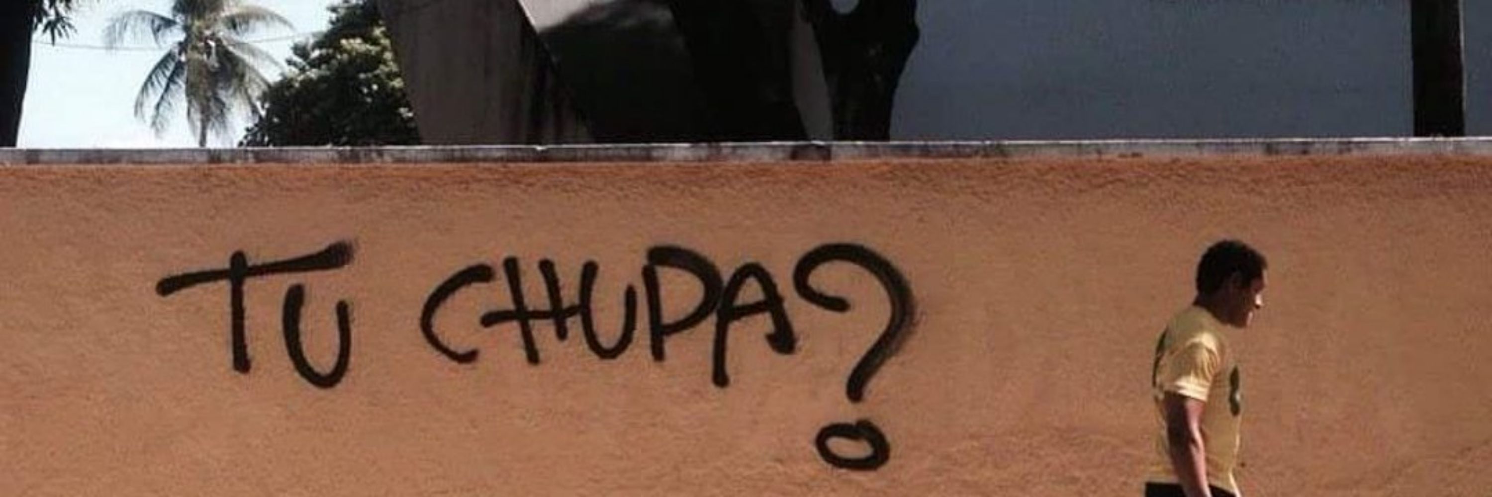 Verdade (de) cobra  🐍