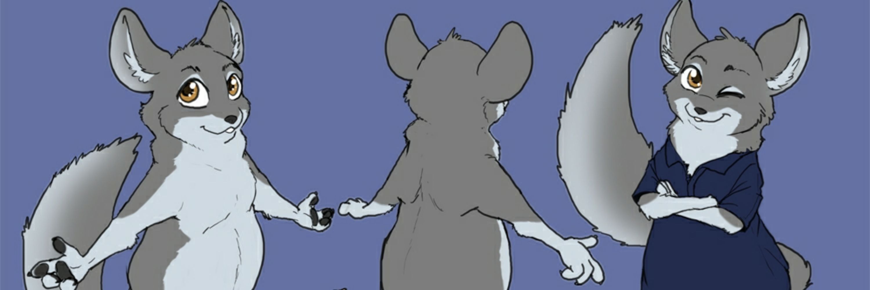 Herex chinchilla