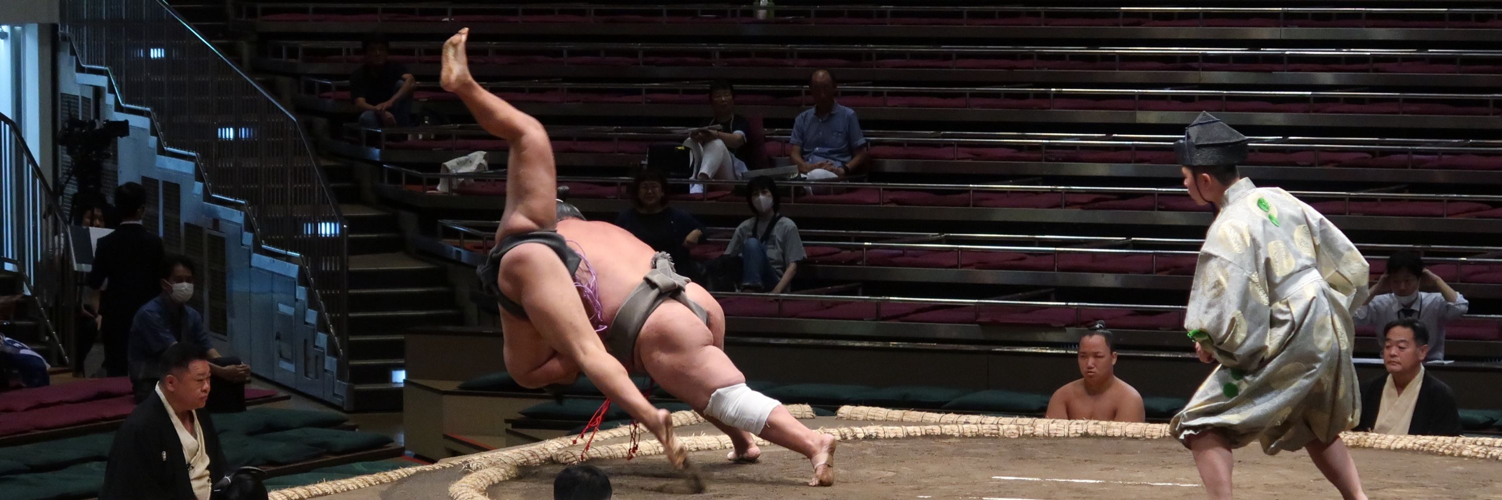 Let’s Learn Sumo