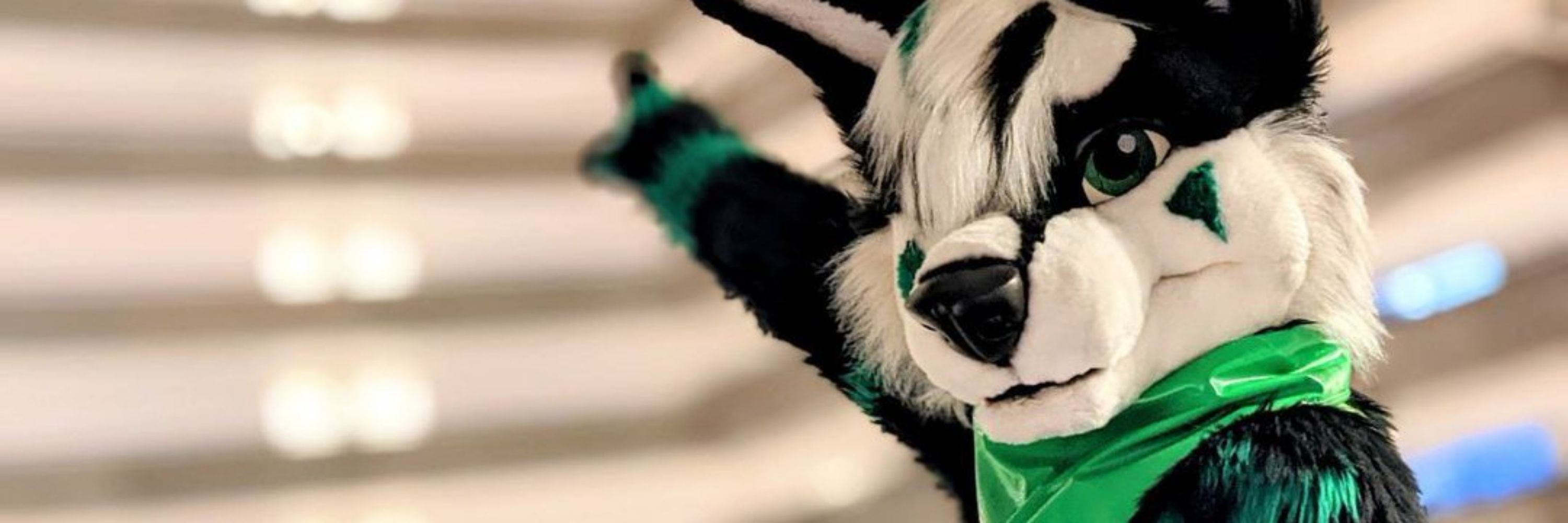 Raiden Husky 💚