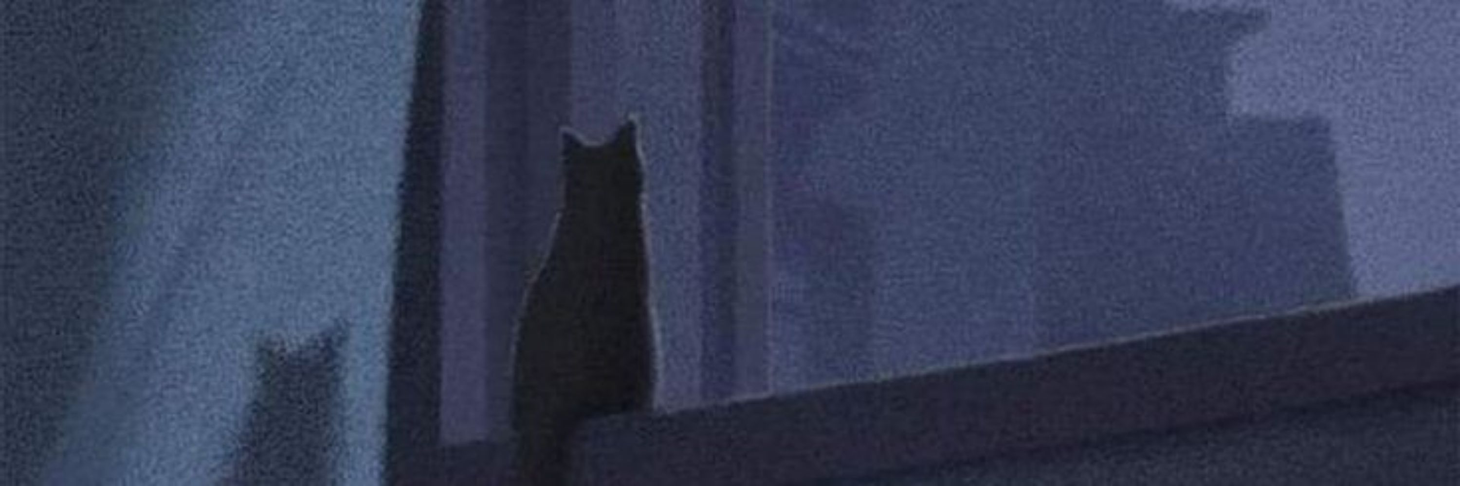 𝐕 '