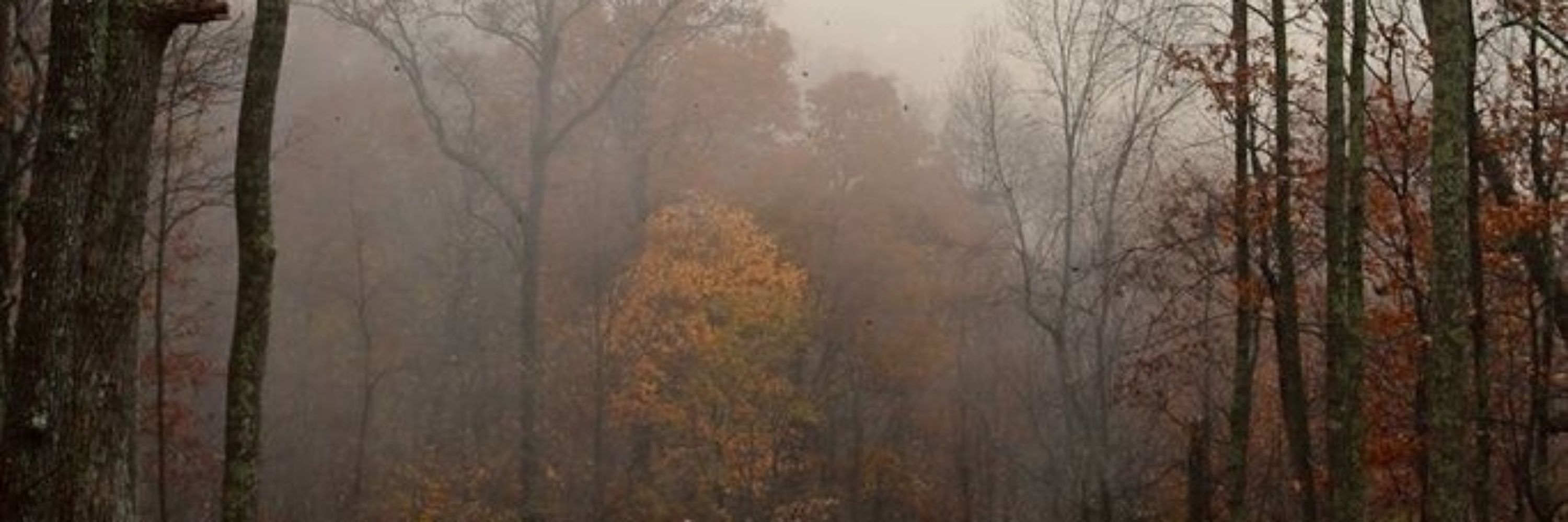 ★`` lina solitude
