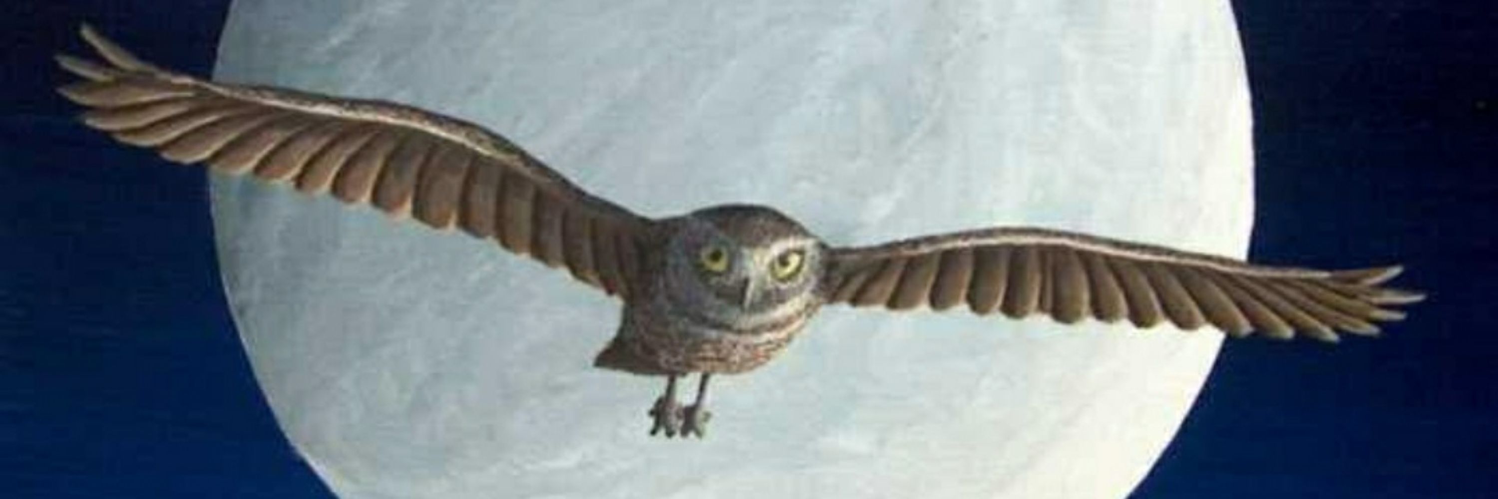 Loubedoos