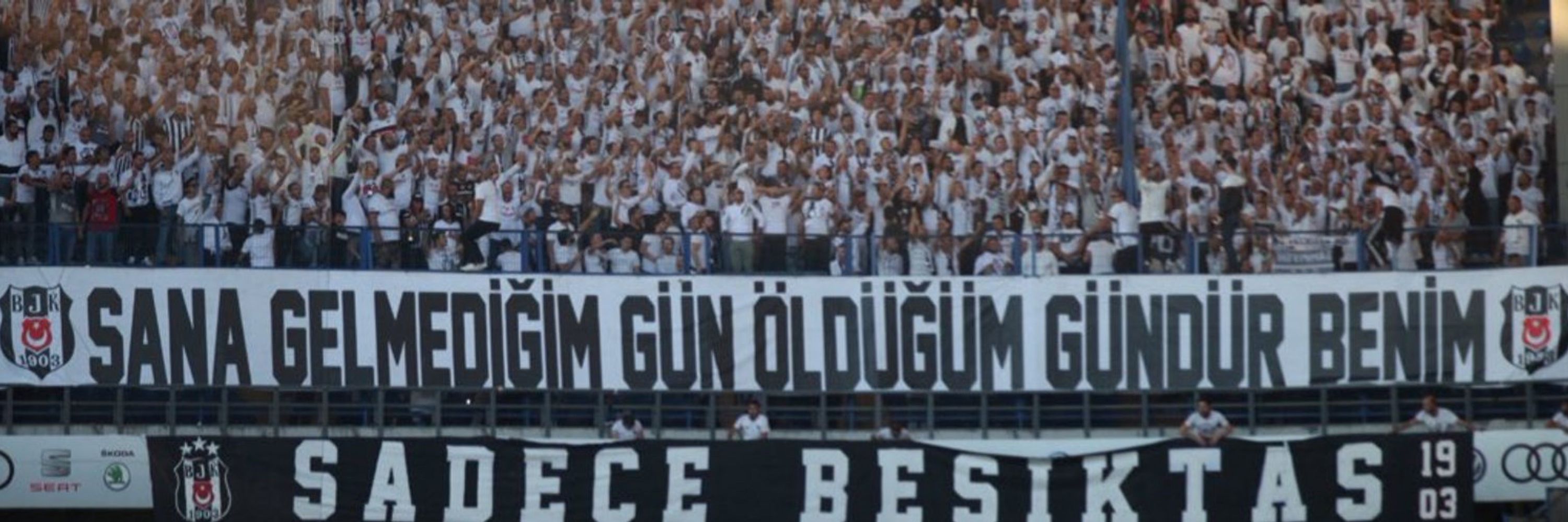 Selim Dilaver