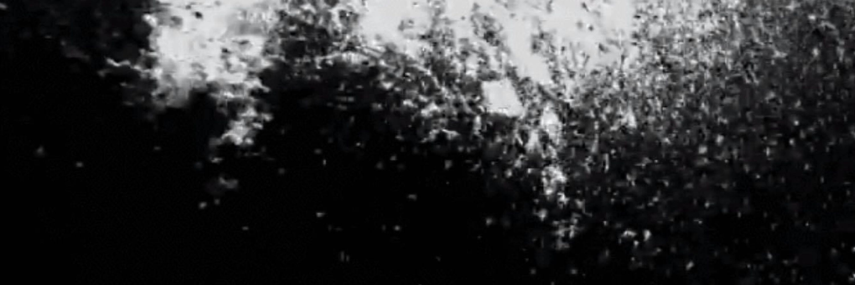 fleshmess