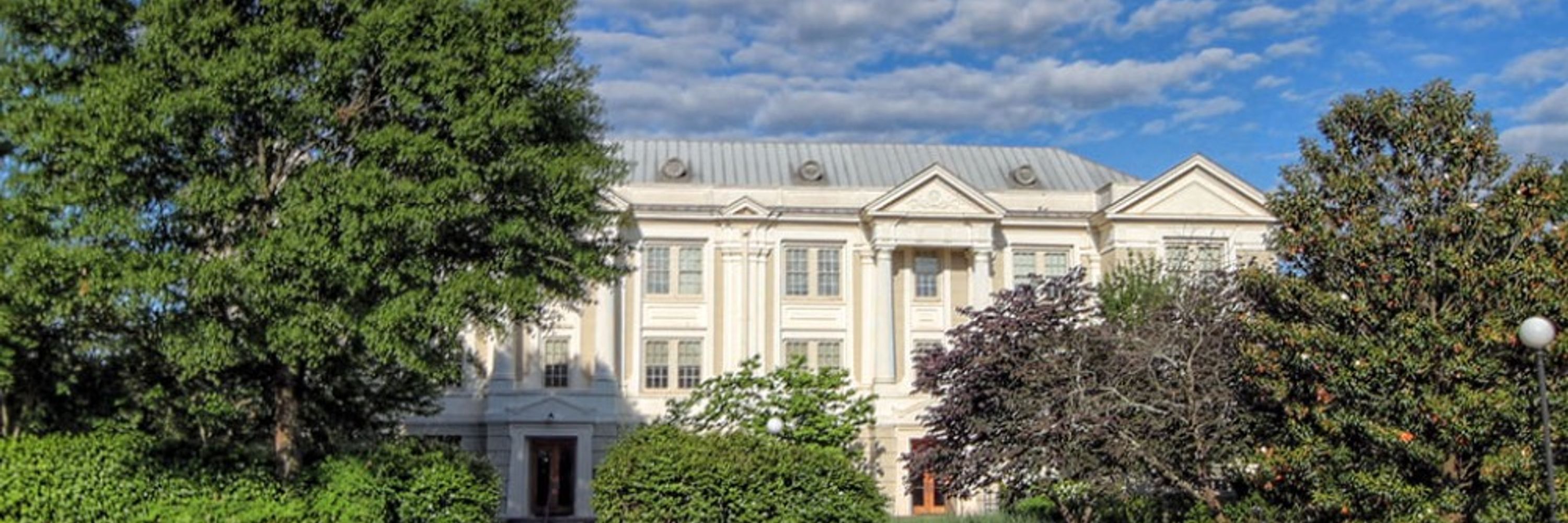 UGA Department of International Affairs