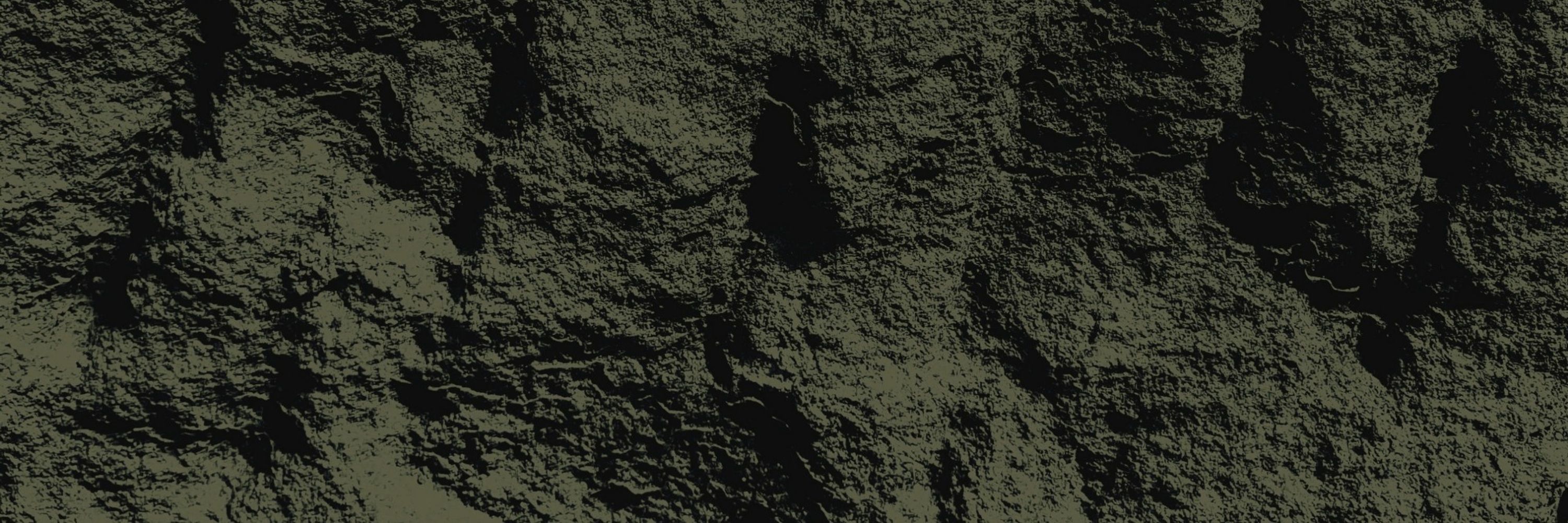 SVR