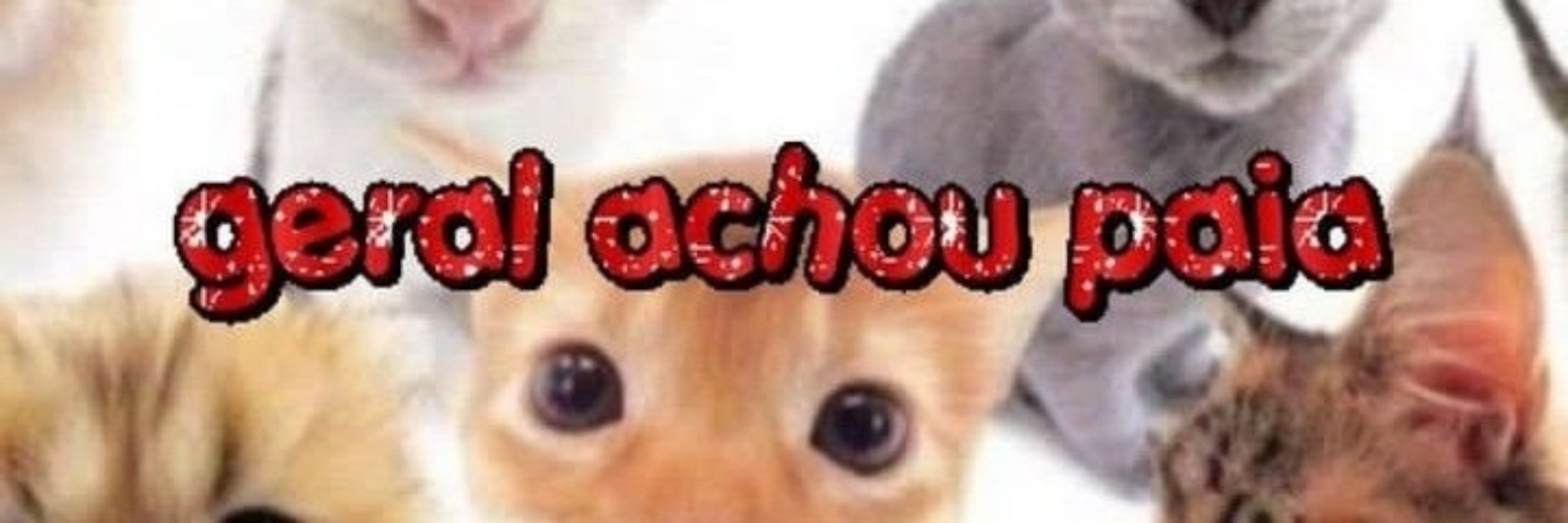 yagmi