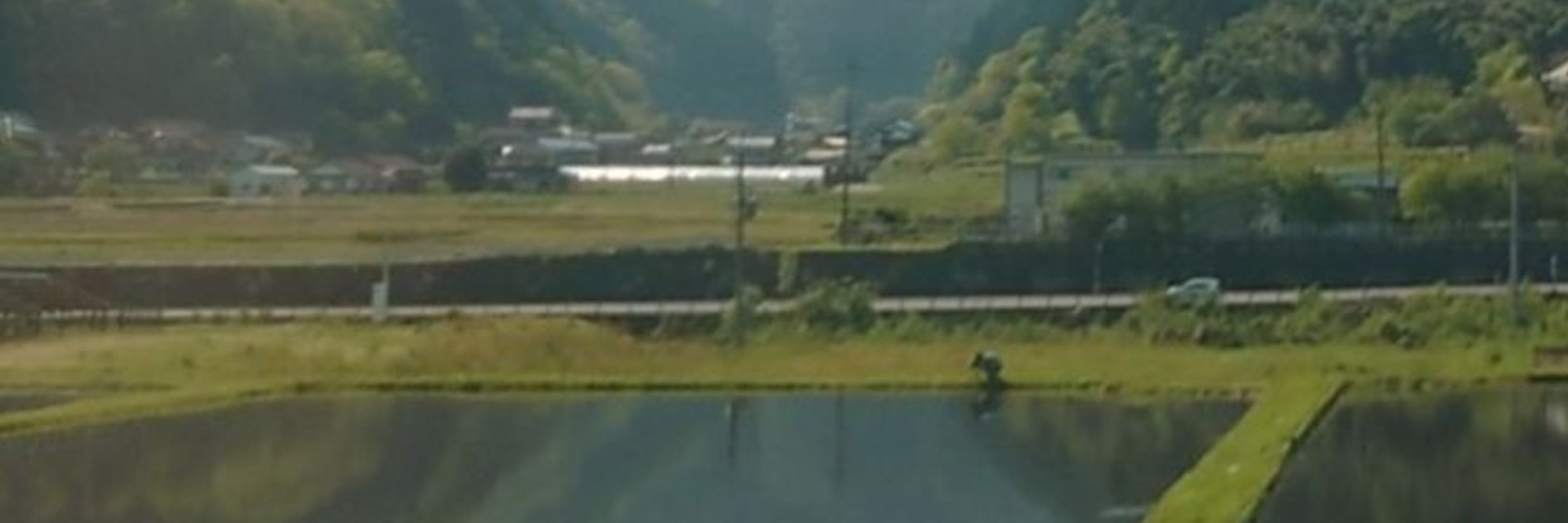 はらぺこニルス