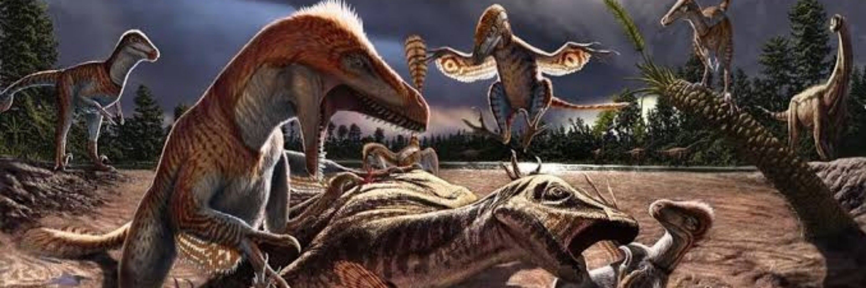 Rochigor 🦖