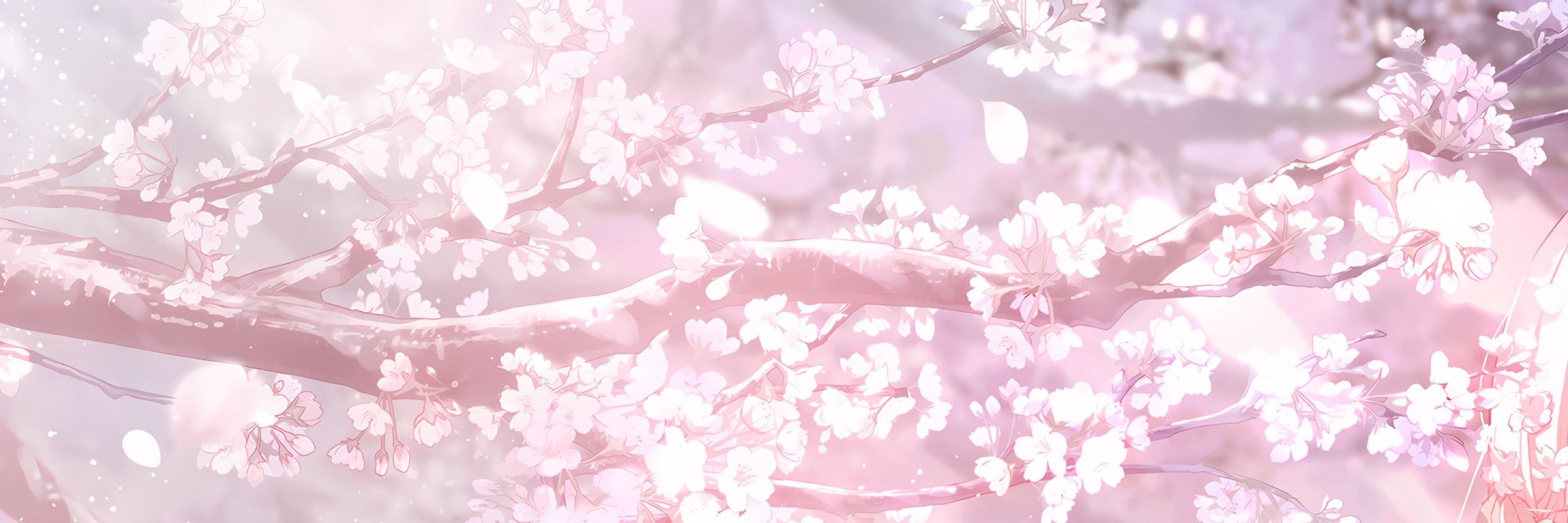 ✲(◍•ᴗ•◍)✲
