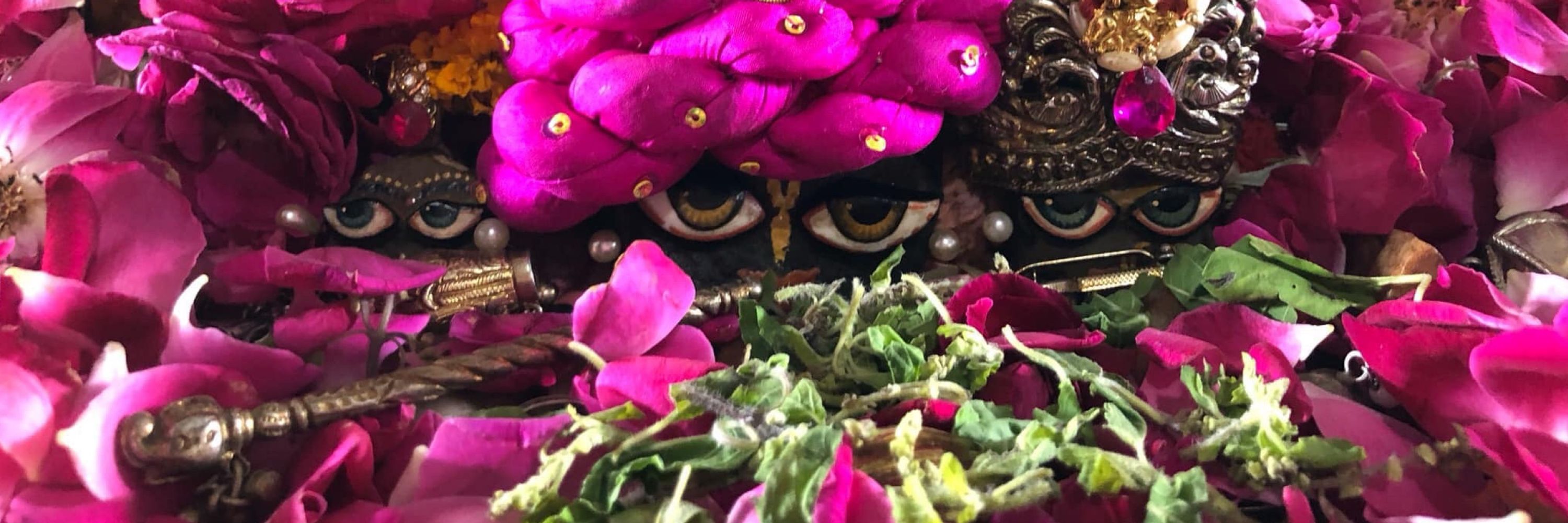 Bhagavat Purana Das