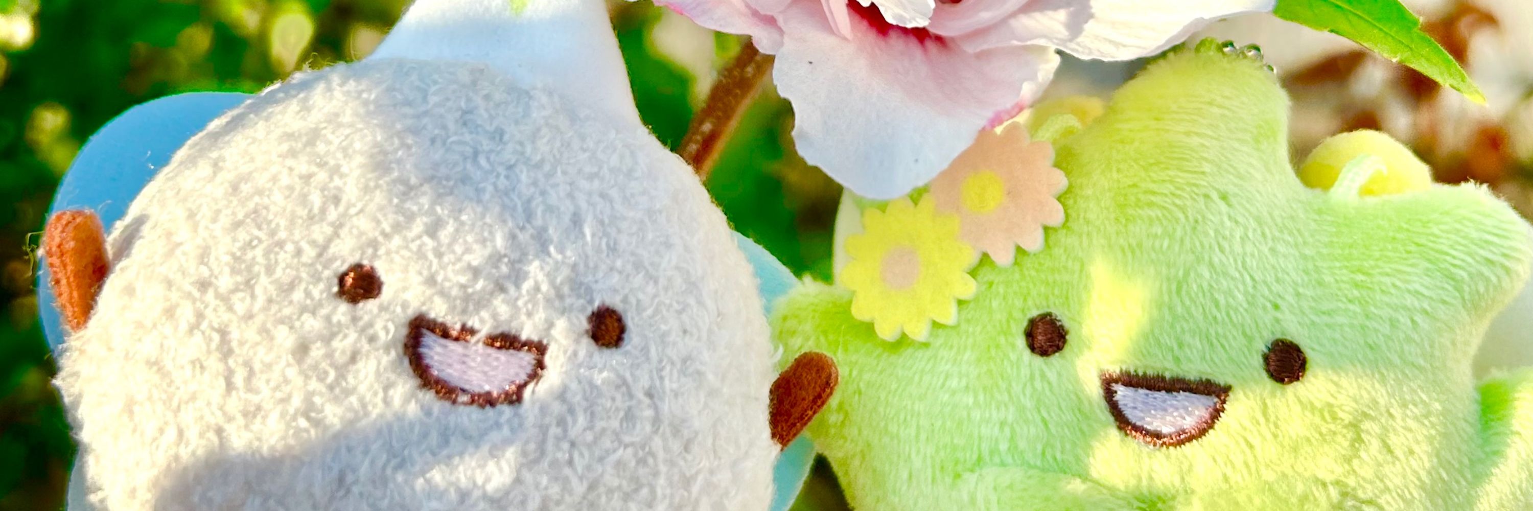 さくら